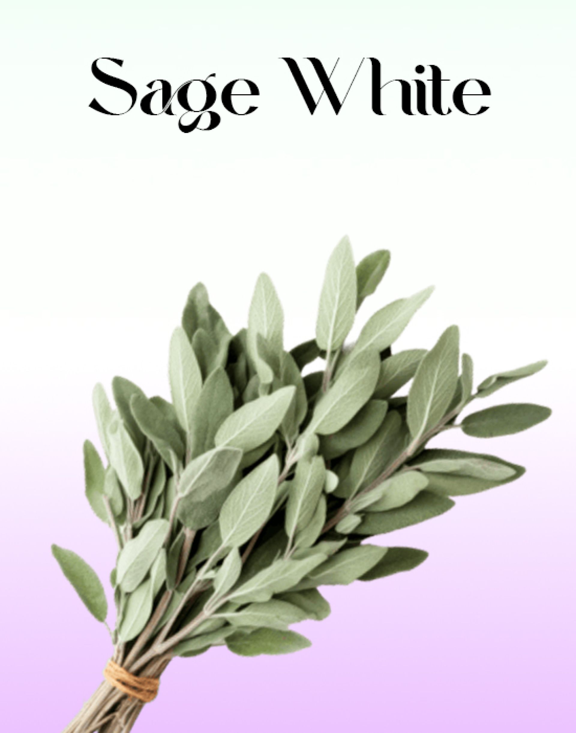 Sage White