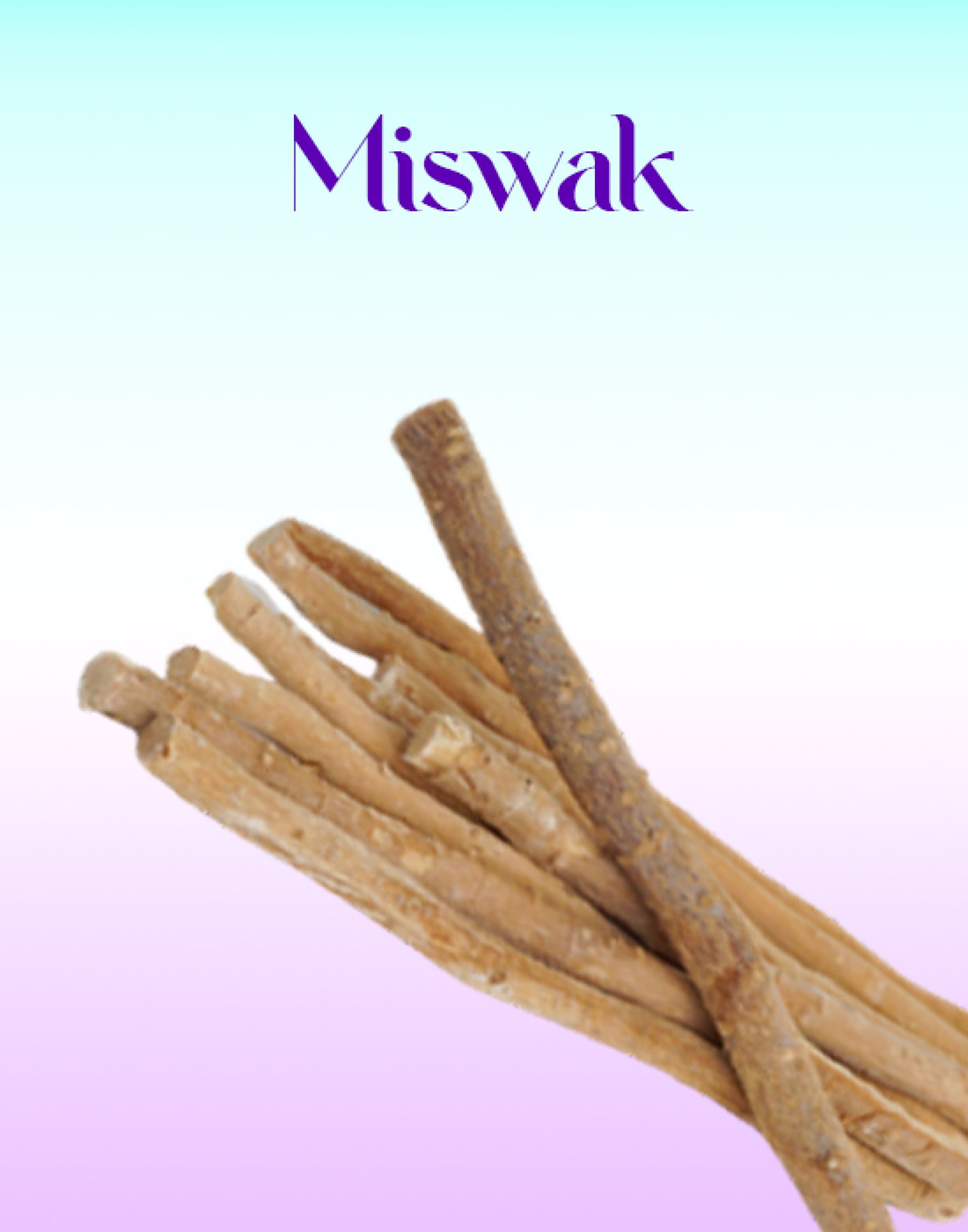 Miswak 7.5” Long