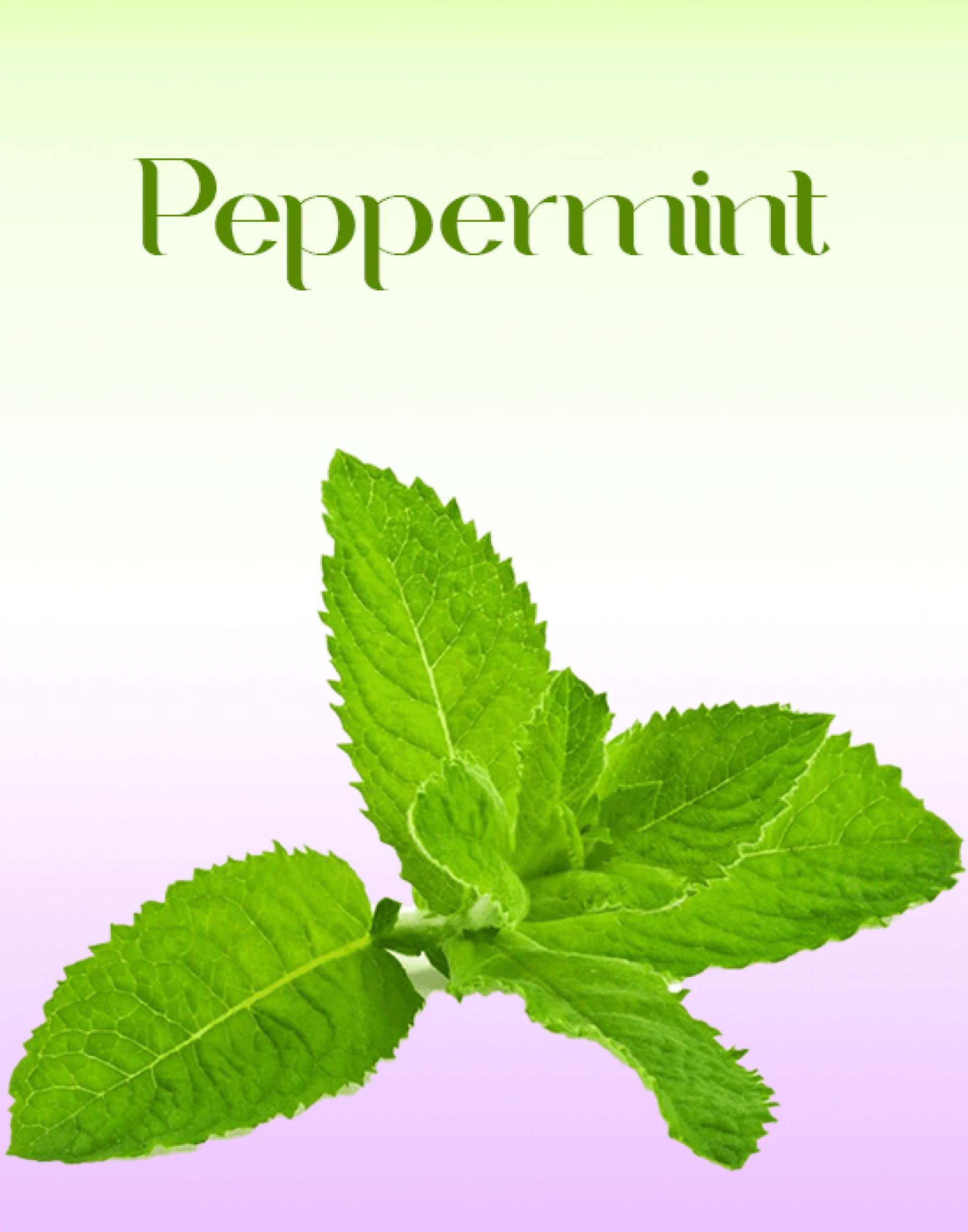 Peppermint