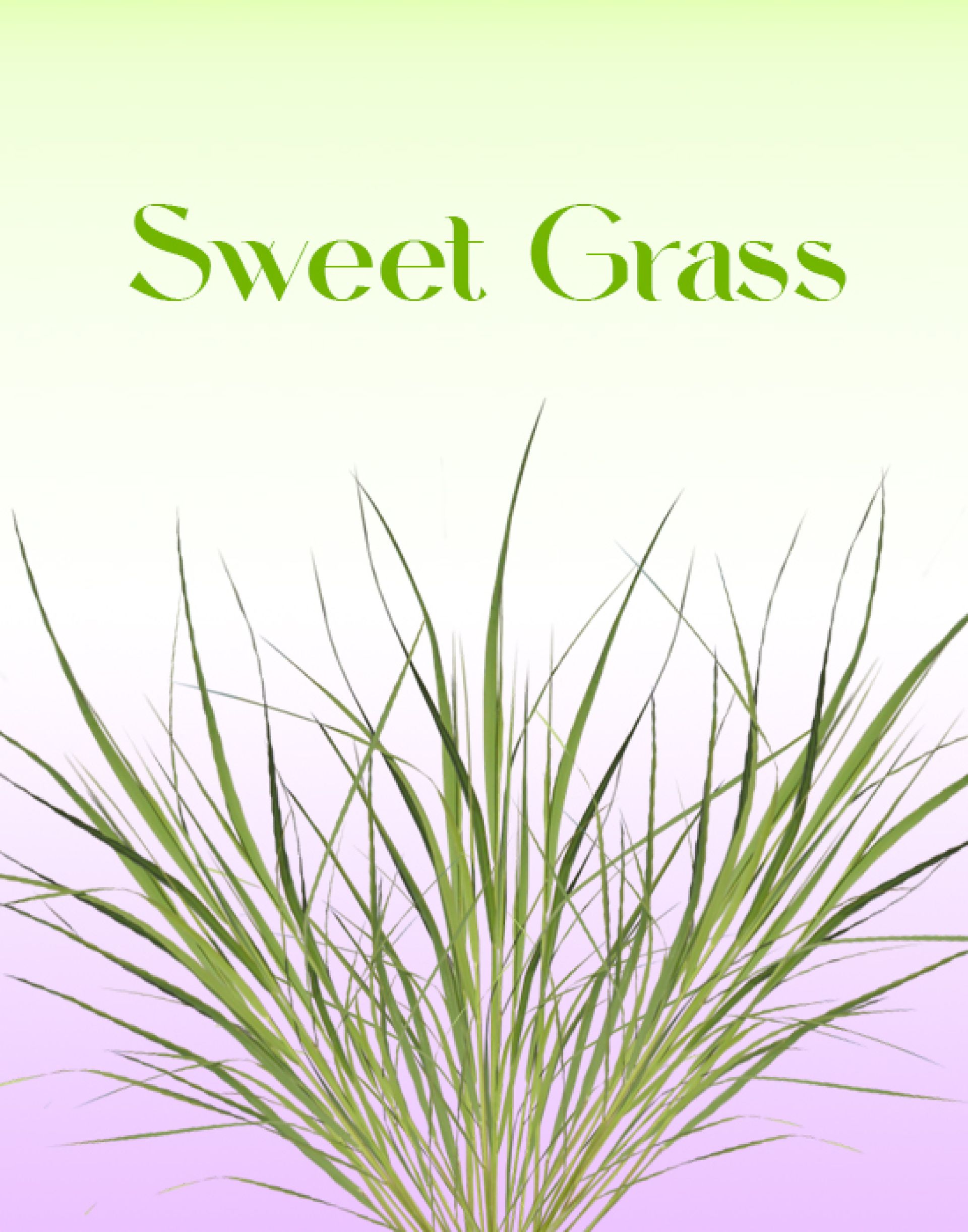 Sweet Grass
